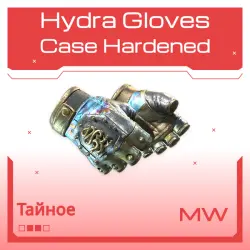 Hydra Gloves | Case Hardened | Немного поношенное