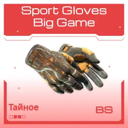 Sport Gloves | Big Game | Закалённое в боях