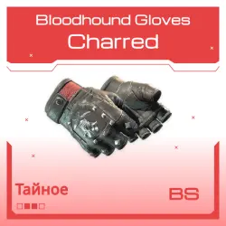Bloodhound Gloves | Charred | Закалённое в боях