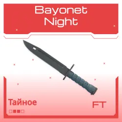 Bayonet | Night | После полевых испытаний