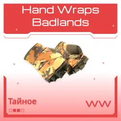 Hand Wraps | Badlands | Поношенное
