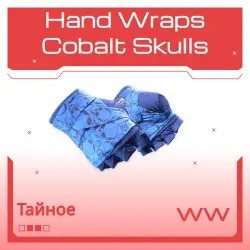Hand Wraps | Cobalt Skulls | Поношенное