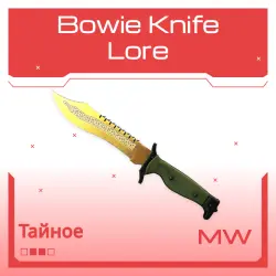 Bowie Knife | Lore | Немного поношенное