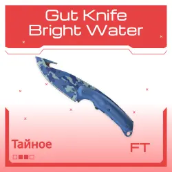 Gut Knife | Bright Water | После полевых испытаний