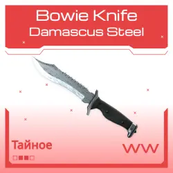 Bowie Knife | Damascus Steel | Поношенное