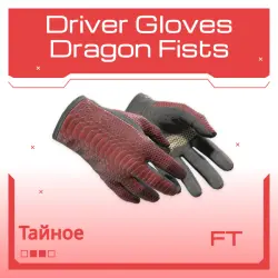 Driver Gloves | Dragon Fists | После полевых испытаний
