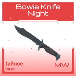 Bowie Knife | Night | Немного поношенное
