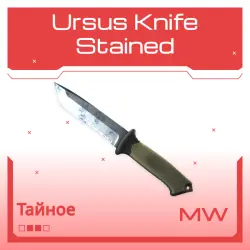 Ursus Knife | Stained | Немного поношенное