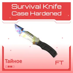 Survival Knife | Case Hardened | После полевых испытаний