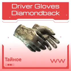 Driver Gloves | Diamondback | Поношенное