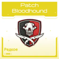 Patch | Bloodhound