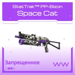 StatTrak PP-Bizon | Space Cat | Поношенное
