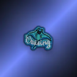 Patch | Cruising Ray