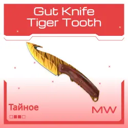 Gut Knife | Tiger Tooth | Немного поношенное