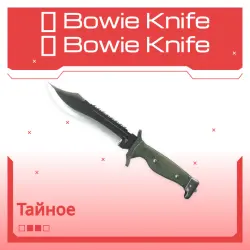 Bowie Knife