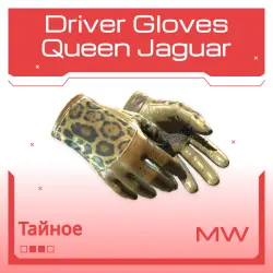 Driver Gloves | Queen Jaguar | Немного поношенное