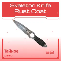 Skeleton Knife | Rust Coat | Закалённое в боях