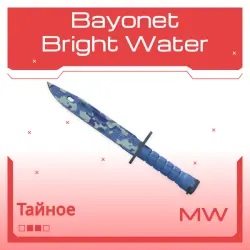 Bayonet | Bright Water | Немного поношенное