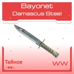 Bayonet | Damascus Steel | Поношенное