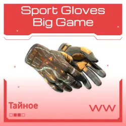 Sport Gloves | Big Game | Поношенное