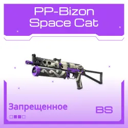 PP-Bizon | Space Cat | Закалённое в боях