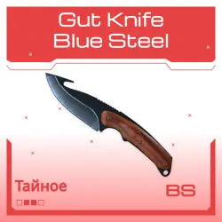 Gut Knife | Blue Steel | Закалённое в боях