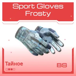 Sport Gloves | Frosty | Закалённое в боях