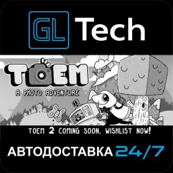 TOEM АВТОДОСТАВКА Steam GIFT