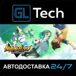 INAZUMA ELEVEN: Victory Road АВТОДОСТАВКА Steam GIFT