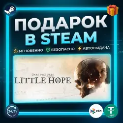 The Dark Pictures Anthology: Little Hope | Steam | Gift | 24/7 Autodelivery