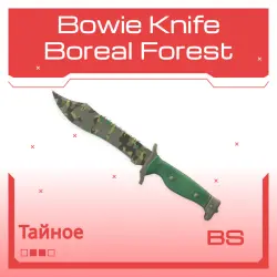 Bowie Knife | Boreal Forest | Закалённое в боях