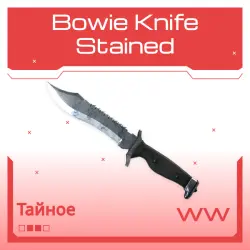 Bowie Knife | Stained | Поношенное