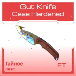 Gut Knife | Case Hardened | После полевых испытаний