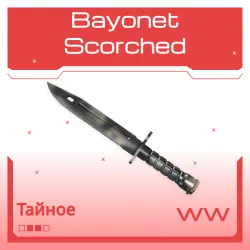 Bayonet | Scorched | Поношенное