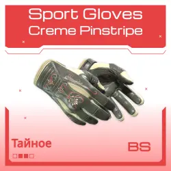 Sport Gloves | Creme Pinstripe | Закалённое в боях