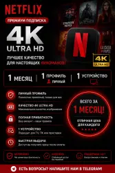 Netflix — 1 month (1 personal profile)