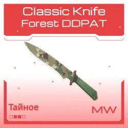 Classic Knife | Forest DDPAT | Немного поношенное