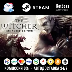 Россия + Мир | The Witcher: Enhanced Edition Director's Cut / 1 / I | Гифт | Steam