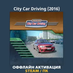 City Car Driving (2016)