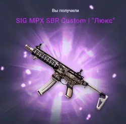 SIG MPX SBR Custom | "Люкс" Навсегда