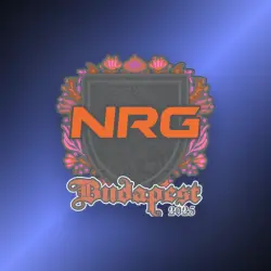 Sticker | NRG | Budapest 2025