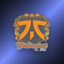 Sticker | fnatic | Budapest 2025