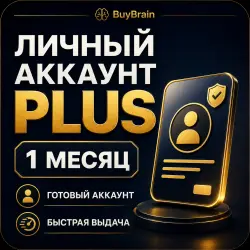 PERSONAL CHAT GPT PLUS 30 DAYS  ISSUE
