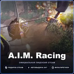 A.I.M. Racing (Steam Gift) · РФ и весь мир · Автодоставка 24/7