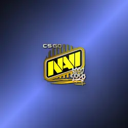Sticker | Natus Vincere | 2020 RMR