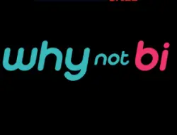 Why Not Bi 1 - 12 mohth