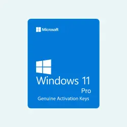 Microsoft Windows 11 Pro (Professional) / electronic activation key / perpetual licen
