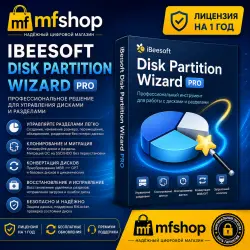 iBeesoft Disk Partition Wizard Pro – Лицензия на 1 год