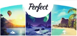 Perfect (STEAM/UKR-CIS) Key