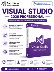 Microsoft Visual Studio Professional 2026 / LifeTime